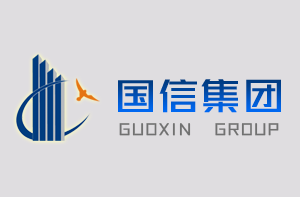 国信开展纪念建党95周年系列活动